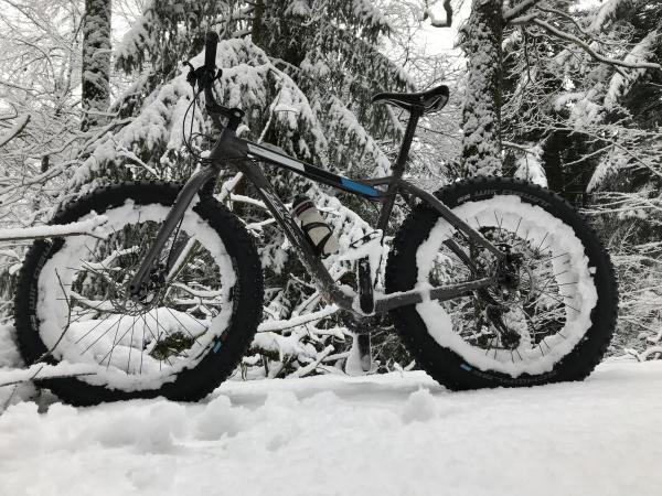 Salsa Blackborrow 1 (2015) in snow, forrest